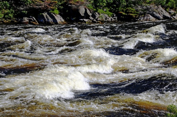 Whitewater Rapids I by Deb Oppermann